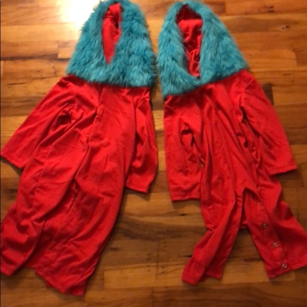 Costumes Thing 1 and Thing 2